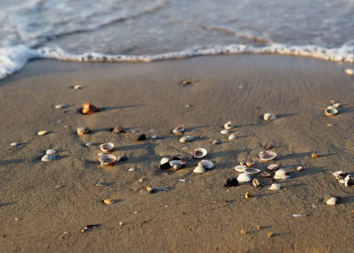 With Garden On The Shores Of *